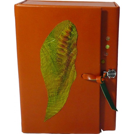 BOÎTE EN CUIR - pièce unique